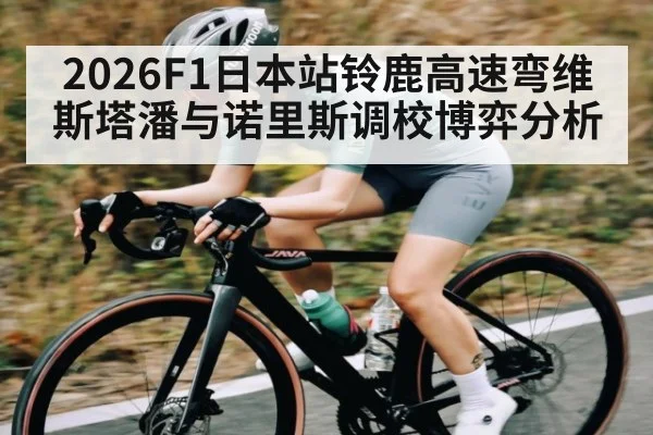 2026F1日本站铃鹿高速弯维斯塔潘与诺里斯调校博弈分析
